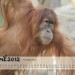 Kalender 2012 - April