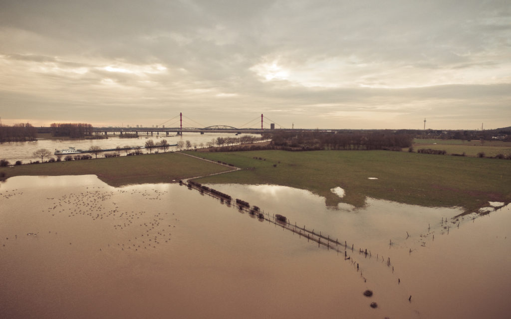 Rhein-Hochwasser Januar 2018 in Duisburg-Baerl